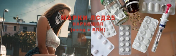 ПСИЛОЦИБИНОВЫЕ ГРИБЫ Покровск