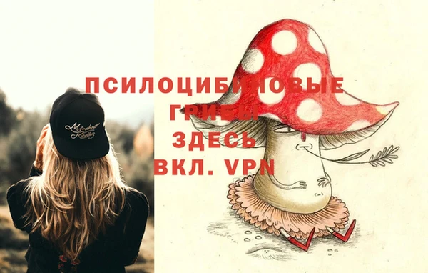 герыч Пестово