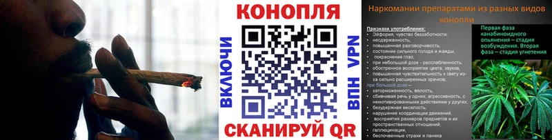 Бошки марихуана SATIVA & INDICA  Купить закладки  Рудня 