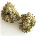 Шишки "White Widow"  (Белая вдова)  Гидропоника -  Бошка VHQ в Рудне